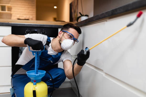 Best Pest Removal Services  in Medina, WA