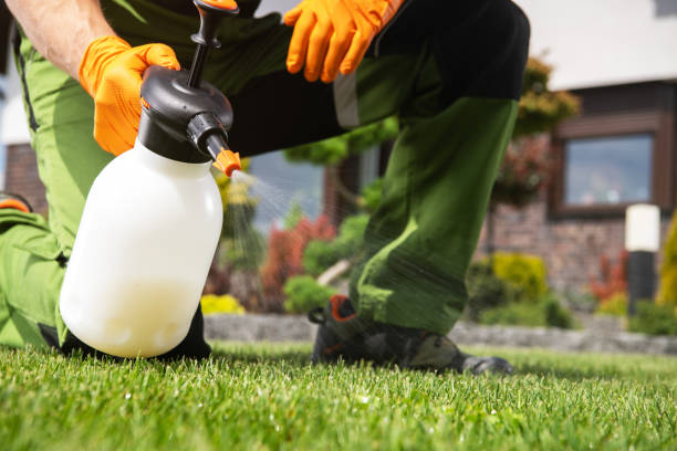 Best Pest Prevention Services  in Medina, WA