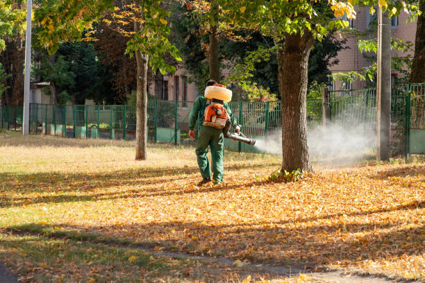 Best Wasp Removal Services  in Medina, WA