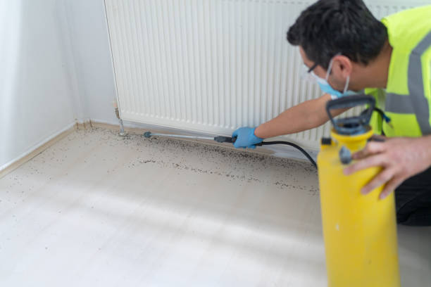 Best Affordable Pest Control Services  in Medina, WA